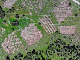 İzmir'de yürütülen projede araziye açılan baklava ve hilal şeklindeki setlerle su hasadı yapılmaya çalışılıyor.  ( İzmir Katip Çelebi Üniversitesi - Anadolu Ajansı )