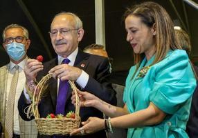 CHP Genel Başkanı Kemal Kılıçdaroğlu (ortada), İzmir'in Selçuk ilçesinde belediye tarafından yaptırılan Efes Tarlası Yaşam Köyü'nün açılışına, Selçuk Belediye Başkanı Filiz Ceritoğlu Sengel (sağda) ile katıldı. Kılıçdaroğlu ve Sengel, Efes Tarlası Yaşam Köyü bünyesinde bulunan serada çilek topladı. ( Mahmut Serdar Alakuş - Anadolu Ajansı )