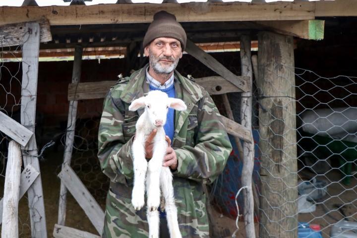 İzmir'in Dikili ilçesinde ağılında çıkan yangında besi hayvanlarını kaybeden besici Muharrem Çetin'in (fotoğrafta) mağduriyeti İl Tarım ve Orman Müdürlüğü tarafından hibe edilen 24 küçükbaş hayvanla giderildi. ( Lokman İlhan - Anadolu Ajansı )