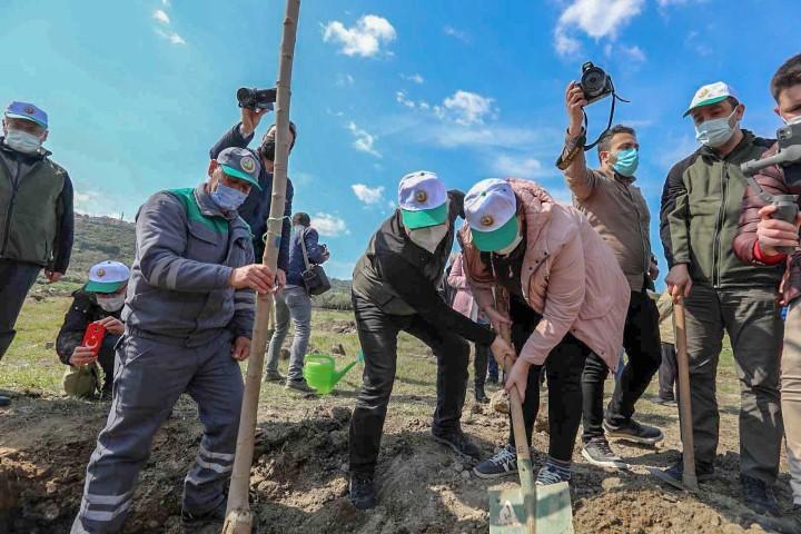İzmir'in Menemen ilçesinde "küçük bir dut ağacı ormanı talep eden" Sabahat Akşiray Özel Eğitim Uygulama Okulu öğrencileri için Tarım ve Orman Bakanı Bekir Pakdemirli'nin talimatıyla 50 fidan, toprakla buluşturuldu. ( İzmir Orman Bölge Müdürlüğü - Anadolu Ajansı )