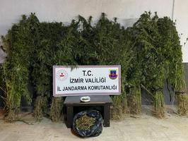 İzmir'deki uyuşturucu operasyonlarında 14 kişi yakalandı
