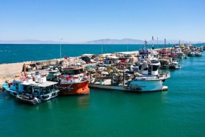 Av sezonu ‘hamsi’ umuduyla açıldı