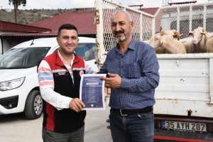 110 üreticiye 210 küçükbaş hayvan