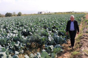 Çiftçiler ekim yağmurlarıyla nefes aldı