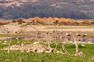 İZSU’dan tasarruf çağrısı