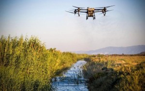 254 bin noktada çevre denetimi