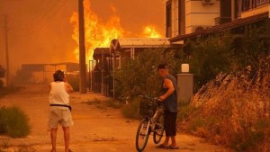 DEM’den yangınlara karşı çözüm önerisi