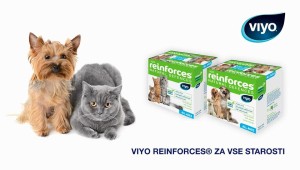 Viyo Reinforces Nedir?