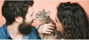 Kediler Sahiplerini Neden Yalar?