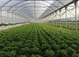 SERA ISITMA SİSTEMLERİ