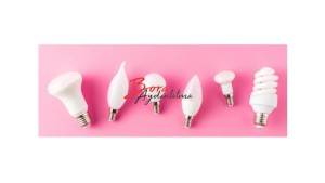 Bora Led Aydınlatma Öncüsü