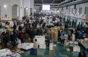 KARADENİZ'İN HAMSİSİ EGE'DEN