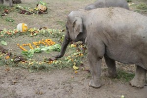 İYİ Kİ DOĞDUN İZMİR!
