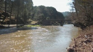 BERGAMA 1.KUZUGÖBEĞİ MANTARI BULUŞMASI