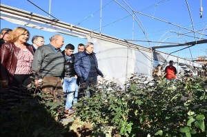 AFET MAĞDURU ÜRETİCİYE BÜYÜKŞEHİR DESTEĞİ