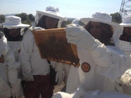 ARICILIK EĞİTİMİ TAMAMLANDI