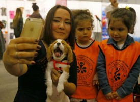 KÖPEK KIYAFETLERİ DEFİLESİ DÜZENLENDİ