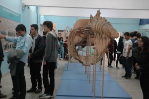 TÜRKİYE’NİN İLK VE TEK AKADEMİK MÜZESİ