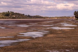 BADEMLİ’DE DENİZ SUYU 50 METRE ÇEKİLDİ