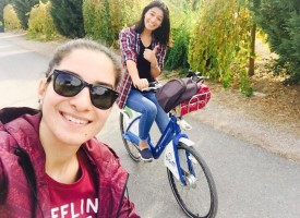 EGELİLERE YOLLAR “BİSİM”…!