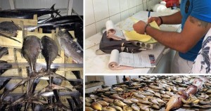 EŞ ZAMANLI SU ÜRÜNLERİ ÇAPRAZ DENETİMLERİ YAPILDI