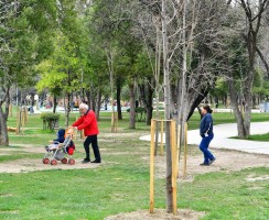 HASANAĞA’YA “GENÇLİK AŞISI”