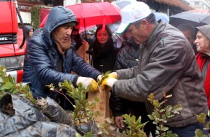 "AĞAÇ KESMEYELİM, FİDAN DİKELİM"