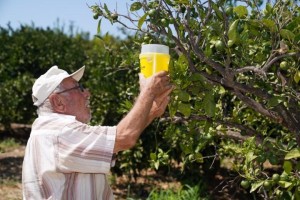 Çiftçiye 270 milyon liralık destek