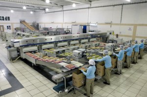 KUŞ GRİBİ, ÇIKMAMIŞ YUMURTAYI SATTIRDI