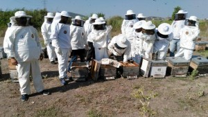 İLK ÇİÇEK BALI SAĞILDI