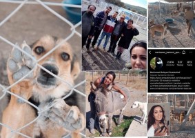 Patili dostlar ‘Merhamet Bahçesi’nde güvende