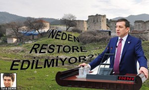 TÜRELİ, FOÇA'YI MECLİS'E TAŞIDI