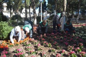 DİKİLİ RENGÂRENK ÇİÇEK AÇTI