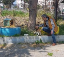 ÖĞRETMENLER SOKAK HAYVANLARINI BESLEDİ