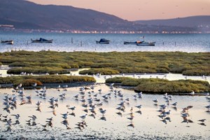 Gediz Deltası restore edilecek