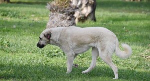 SOĞUK HAVA EN ÇOK ONLARI VURUYOR...