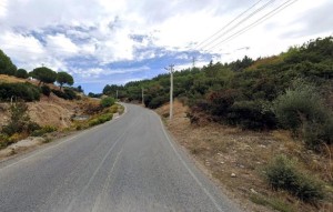 Ormanlık alanlara giriş yasaklandı