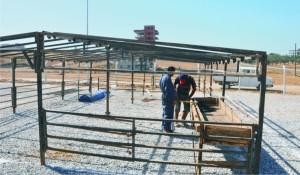 ALİAĞA’DA KURBAN BAYRAMI HAZIRLIKLARI BAŞLADI