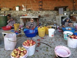 ALİAĞA’NIN BEREKET TOPLAYAN KÖYÜ ‘ÇITAK’