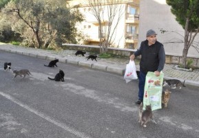 YALI MAHALLESİ’NİN KEDİLERİ ONA EMANET