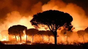 ORMAN YANGINLARINA MÜDAHALEDE TEDBİRLER ARTIYOR