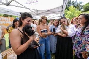 Sokaktaki canlar için yol haritası belirlendi
