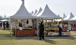 YÖRESEL ÜRÜNLER FESTİVALİ İLGİ GÖRMÜYOR