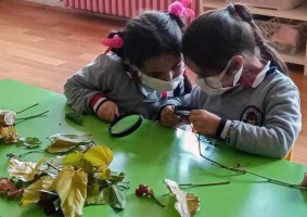 Çocuklar doğanın renklerini tanıyor