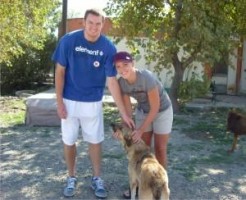 Sokak hayvanları barınağına ABD'li ziyaretçi