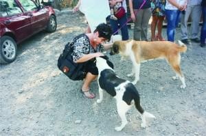 4 EKİM DÜNYA HAYVAN HAKLARI GÜNÜ KUTLANDI