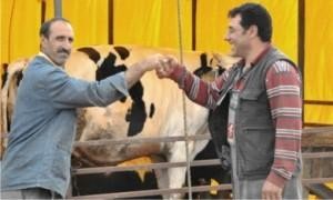 Kurbanlıklara ilgi az