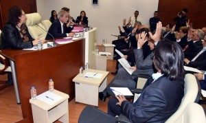 ZEYTİNLİ PARK MECLİS’E TAŞINDI