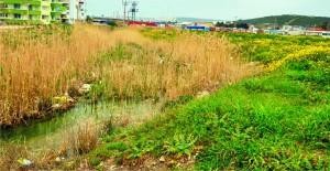 BATAKLIK YAŞAM ALANINA DÖNÜŞTÜ