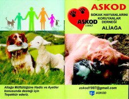 ASKOD'TAN ÖRNEK PROJE